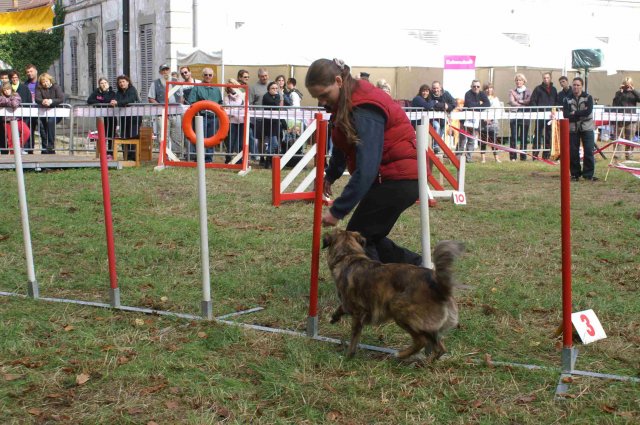 foire-haricots 2011-09-17et18